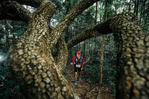 BIB: 
                            <button type="button" onclick="openModal(25393958)" class="btn btn-primary btn-sm float-right btn-popup" data-toggle="modal" data-target=".modal-high-quality">
                        <i class="fas fa-shopping-cart"></i> Add to Cart
                    </button>
                                            <button type="button" onclick="isThisMe(25393958, true)" class="btn btn-success btn-sm float-right btn-popup btn-isme hidden" data-toggle="tooltip" data-placement="bottom" title="นี่คือรูปของคุณใช่ไหม คลิกที่นี่เพื่อเอาเข้าอัลบั้ม">
                        <i class="fas fa-plus"></i> Add to album
                    </button>
                    <button type="button" onclick="isThisMe(25393958, false)" class="btn btn-warning btn-sm float-right btn-popup btn-isnotme hidden">
                        <i class="fas fa-ban"></i> Remove from album
                    </button>